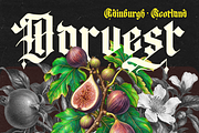 Rhavens, a Blackletter Font by Rahagita Studio (Thumbnail 3 of 14)