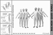 Female and Male Base Mesh A Pose, a Characters & Person 3D Model by VK Studio (Thumbnail 1 of 5)