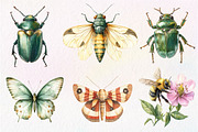 Vintage Spring Insect Clipart, an Illustration by Dream Creation (Thumbnail 3 of 7)