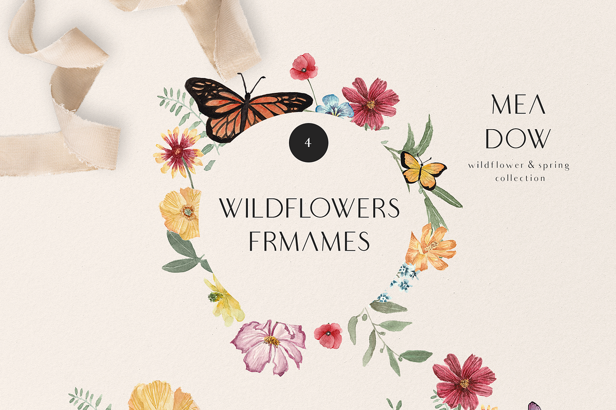 MEADOW bright wild flowers set, a Decorative Illustration by Grace Noboa Illustrations (Photo 2 of 8)