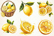 Watercolor Lemon Bundle Clipart, an Illustration by Libby Wishes (Thumbnail 5 of 5)