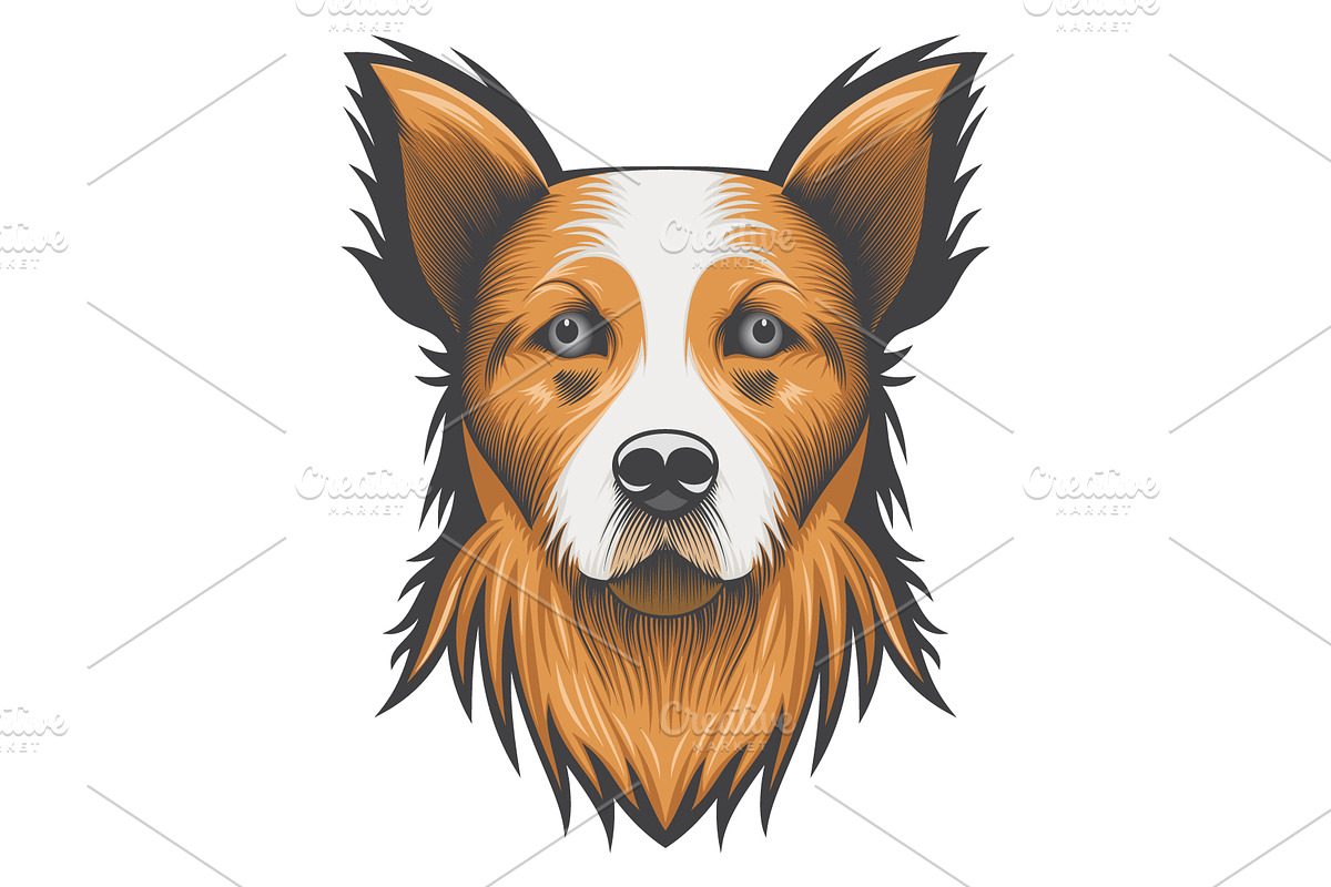 Portrait of a Welsh Corgi Dog, an Animal Illustration by Ghagra (Photo 2 of 4)
