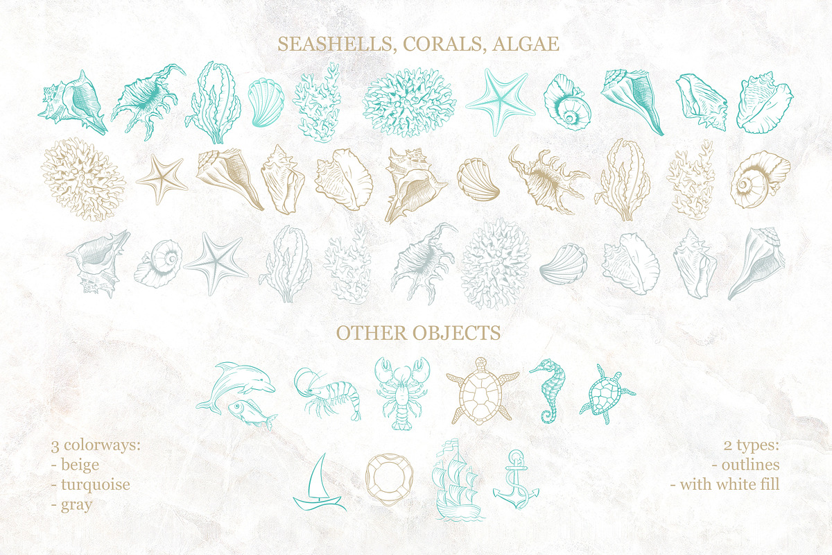 Golden Seashells Collection, an Object Graphic by ilonitta (Photo 9 of 19)
