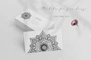 150 items. Mandalas and Elephant, an Animal Illustration by anvinoart (Thumbnail 10 of 10)