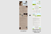 Editable Acuity Template for Canva, a Templates & Theme by StudioVH (Thumbnail 5 of 7)
