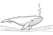 Whale Line Art Vector Bundle, an Illustration by yasushie (Thumbnail 34 of 51)