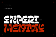 Contrasta font, a Blackletter Font by Letter Collective (Thumbnail 2 of 10)
