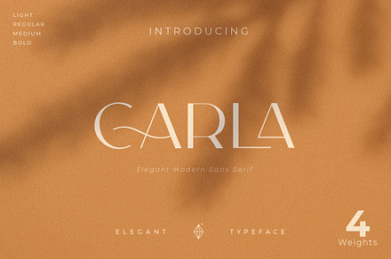 Carla Sans - Elegant Typeface, a Sans Serif Font by Creative Corner