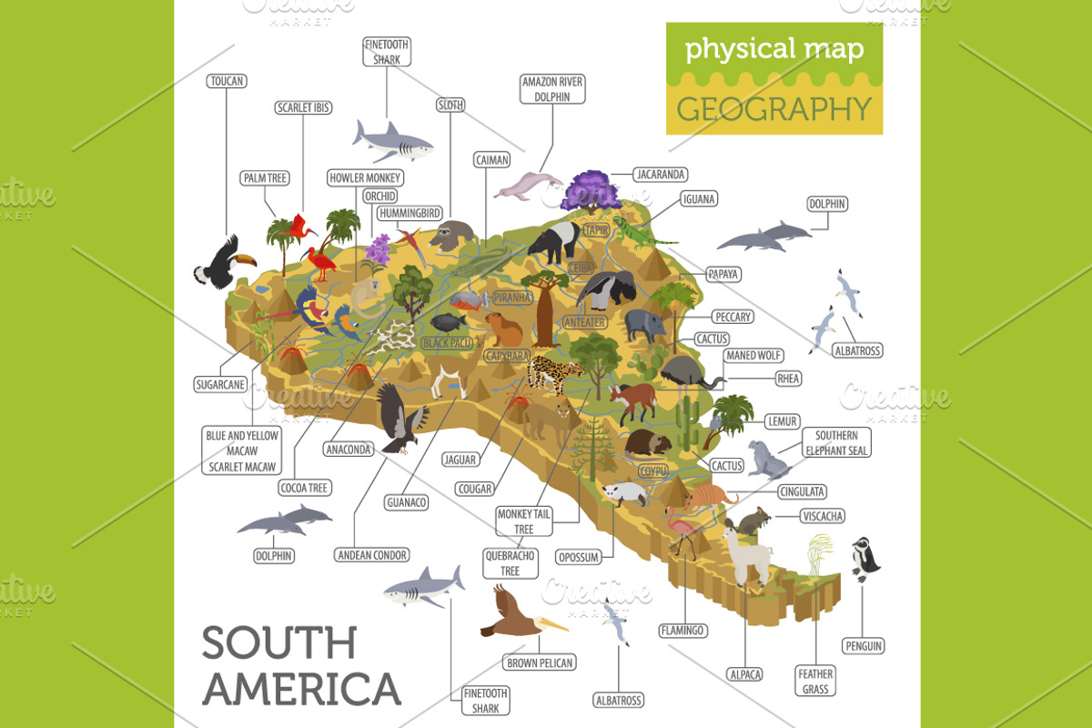 South America isometric map, an Animal Illustration by pet design shop (Photo 3 of 5)
