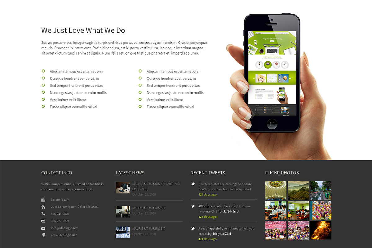 Cheerful Responsive Bootstrap Theme, a Bootstrap Template by IceTemplates (Photo 3 of 3)