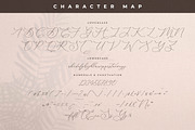 Storyline Regario Font Duo, a Serif Font by Storytype Studio (Thumbnail 13 of 15)