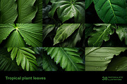 Tropical leaves. 38 images, a Decorative Illustration by Handmadefont (Thumbnail 4 of 10)