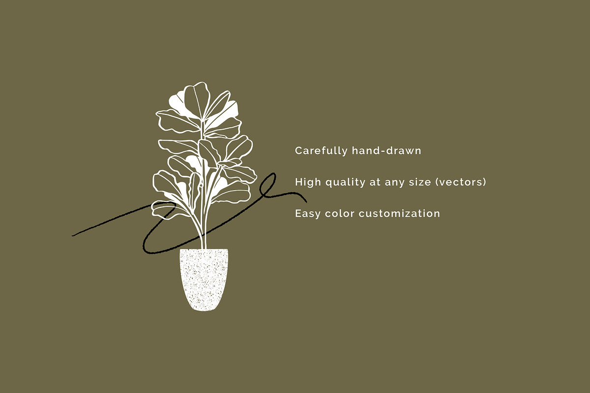 House Plants and Pots Collection, an Illustration by imajineko (Photo 6 of 9)