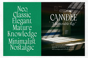 Asel Links - Neo Retro Serif, a Serif Font by Versetype (Thumbnail 3 of 12)