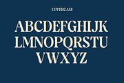 Nexot - Modern Serif Font, a Serif Font by Luna Shop (Thumbnail 5 of 11)