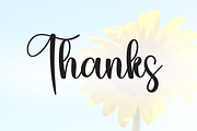 Sunflower | Script Font, a Handwritten Font by Scratchones (Thumbnail 8 of 8)