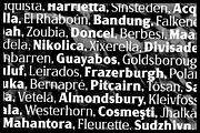 Ribelano Typeface, a Serif Font by Frantic Disorder (Thumbnail 7 of 9)