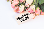 Choco Berry | Script Font, a Script Font by Scratchones (Thumbnail 3 of 9)