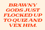 Galeno Rounded Pixel, a Serif Font by Craft Supply Co. (Thumbnail 5 of 8)