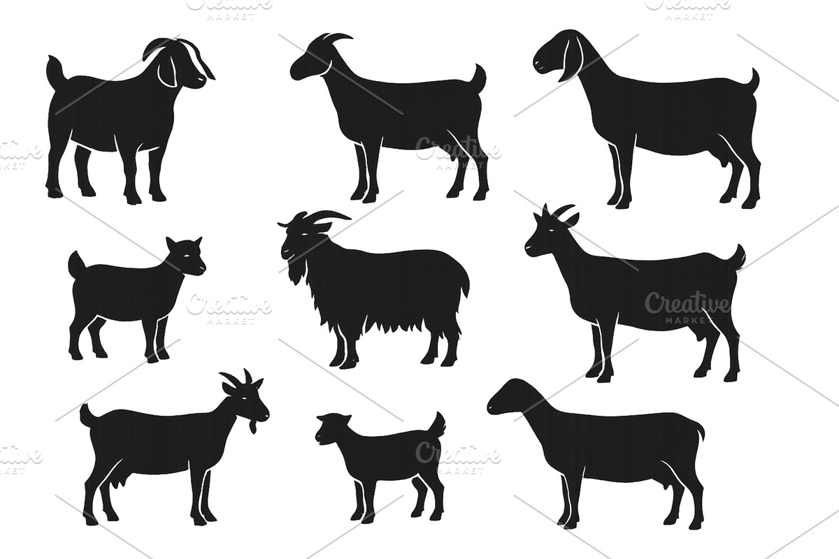 Silhouettes of different goat breeds, an Animal Illustration by ZinetroN