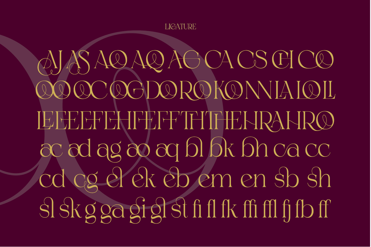 Shealth - Timeless Classic Modern, a Serif Font by Qweera Studio (Photo 9 of 12)