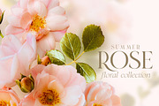 Summer Wild Rose Pink Florals, an Object Graphic by Eclectic Anthology (Thumbnail 2 of 10)