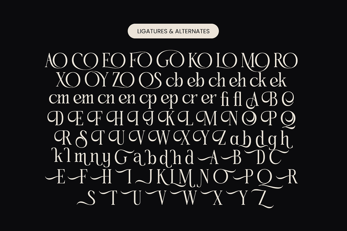 Qinfolk - Elegant Serif Font, a Serif Font by timelesstype.co (Photo 19 of 20)
