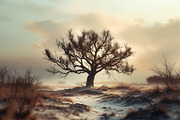 48 Dying Tree Images, a Nature Photo by h.utomo (Thumbnail 8 of 48)