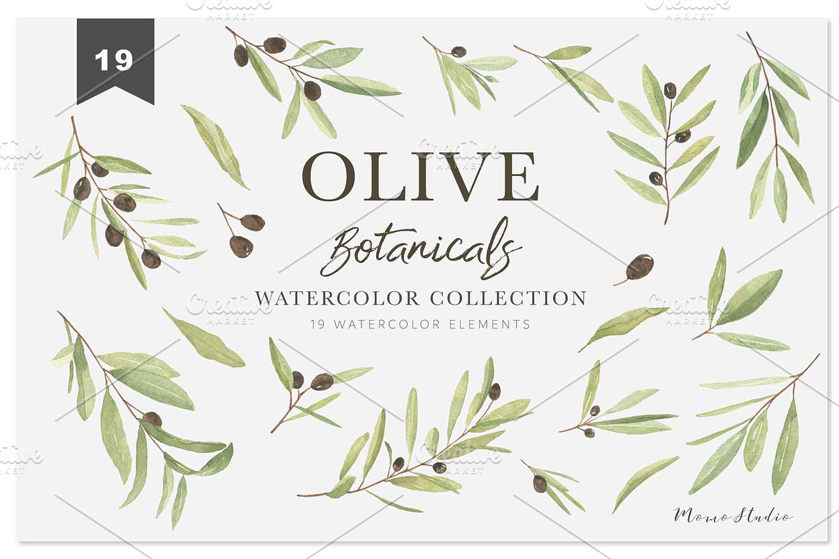 OLIVE BOTANICALS Watercolor & Line, a Work Illustration by Momo Studio (Photo 6 of 15)