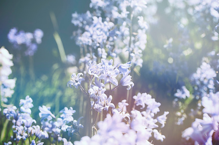 Tiny Landscape preview 6