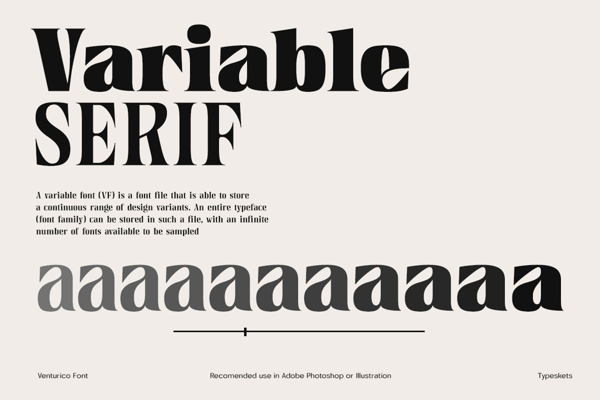 Venturico - Variable Font, a Serif Font by Typeskets (Photo 3 of 11)