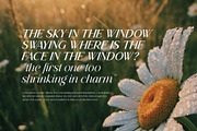 Lessa - Serif Font (10 Fonts), a Serif Font by Maculinc Type (Thumbnail 15 of 18)