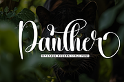 Panther | Script Font, a Handwritten Font by Scratchones (Thumbnail 1 of 9)