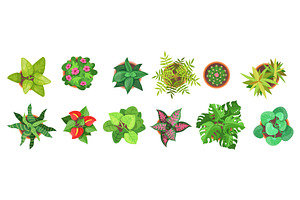 Pot flowers top view. Home flower, an Object Illustration by Stock-Smart-Start