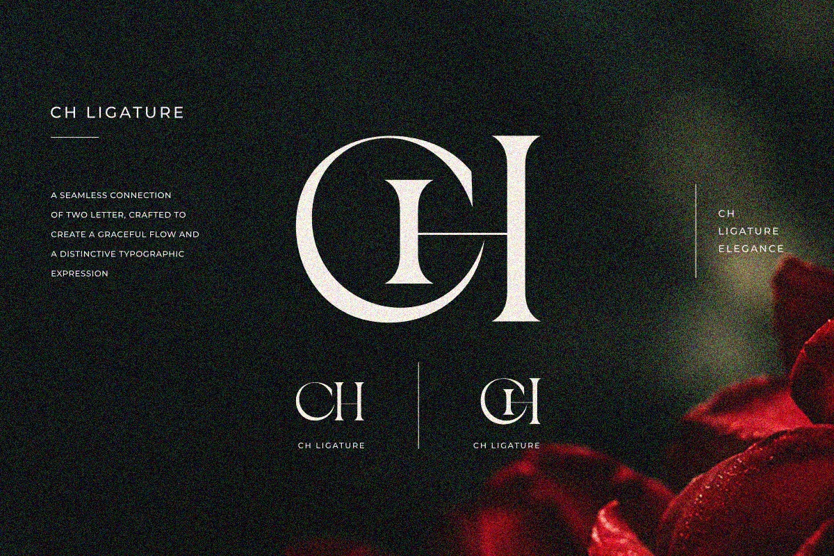Bayari, a Serif Font by zaaintype (Photo 3 of 11)