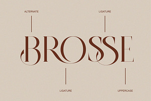 BROSSE Classy Ligature Serif