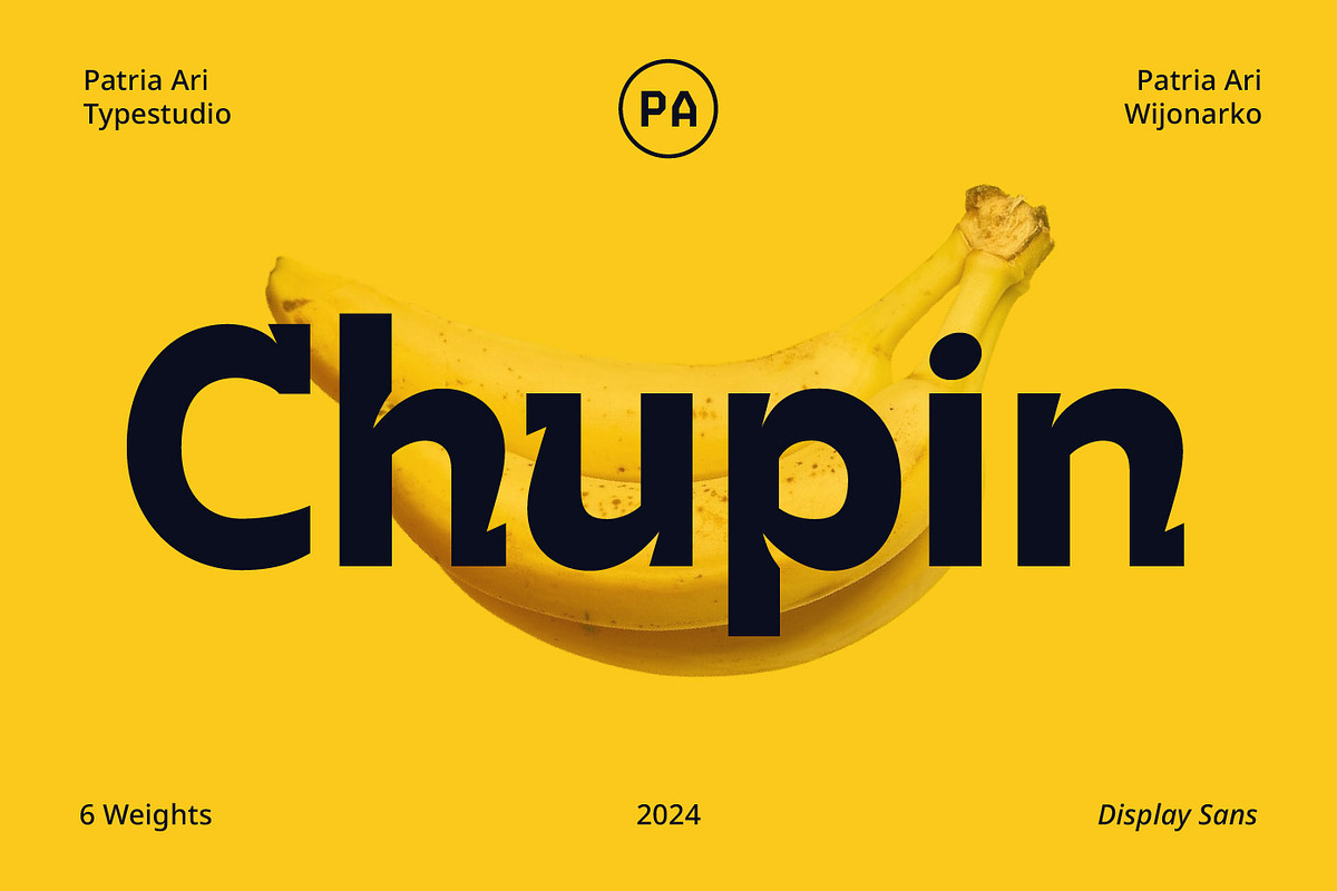 Chupin Display Sans, a Sans Serif Font by Patria Ari (P4tcreativa) (Photo 1 of 9)