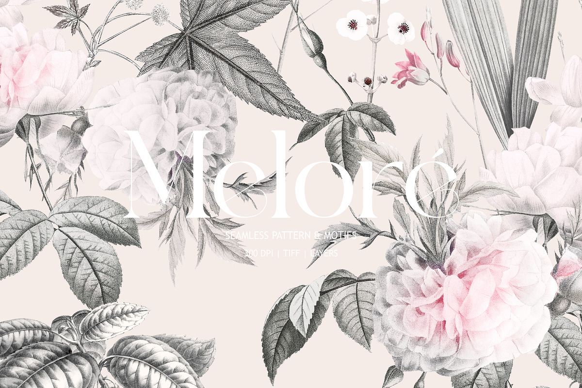 Meloré Seamless Patterns, a Pattern Graphic by YARROO (Photo 1 of 10)