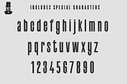 Dr.Jekyll & Mr.Hyde Typeface Duo, a Sans Serif Font by Dene Studios (Thumbnail 8 of 10)