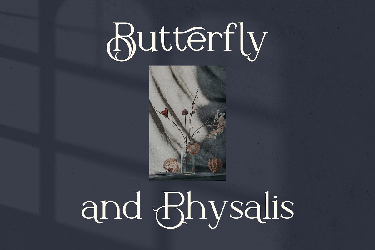 Hitorald Serif Fonts, a Serif Font by mahstudios (Photo 6 of 15)