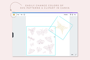 Clipart & Patterns: Minimal Insects