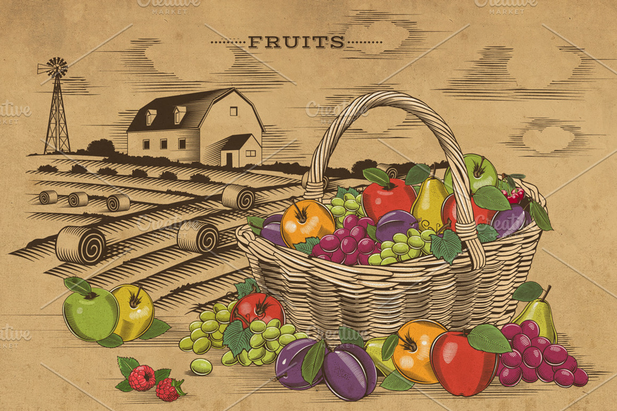 Vintage Fruits & Vegetables Baskets, an Object Graphic by ConceptCafe (Photo 3 of 7)