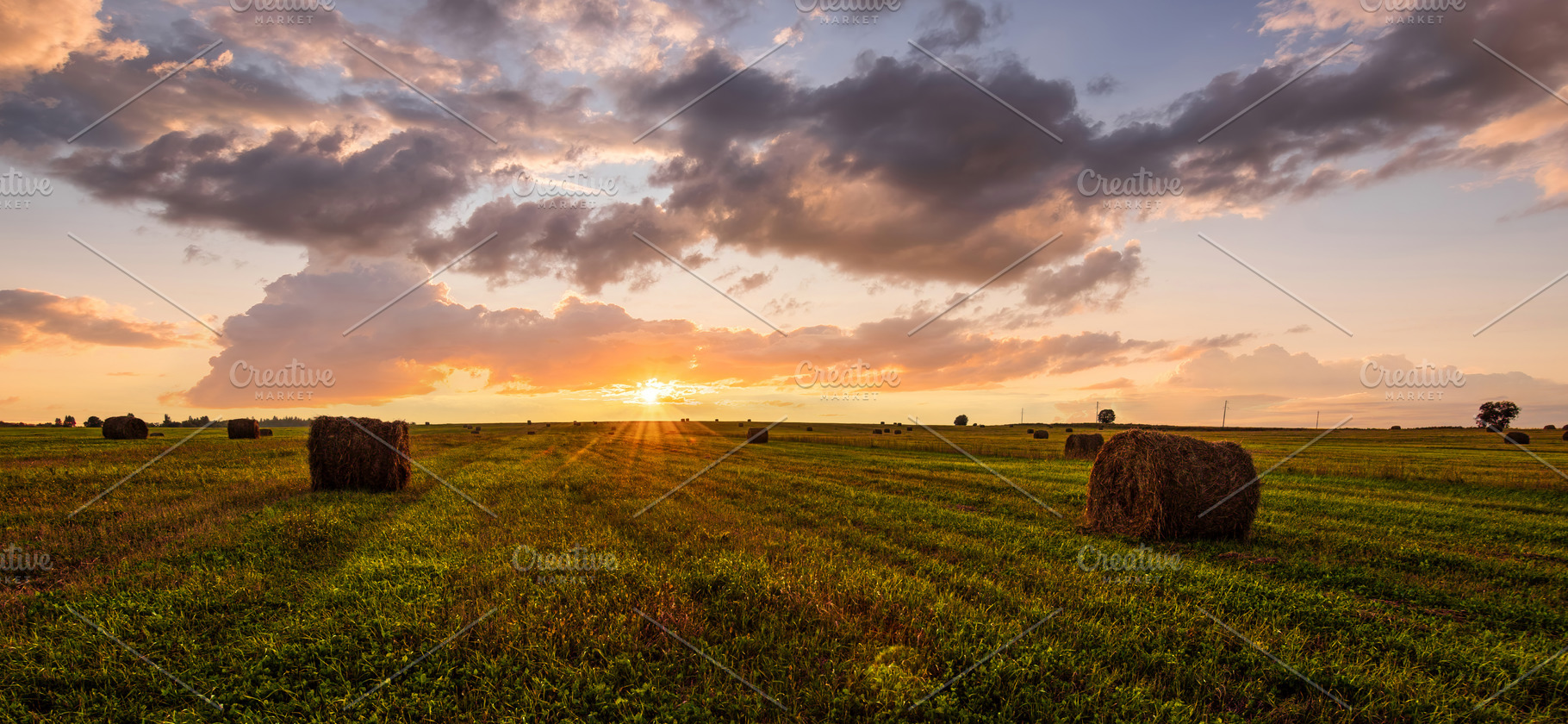 Golden sunset rolling field with hay bales. Panoramic farm lands, a Nature Photo by Eugene_Photo
