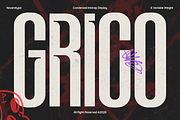 NV GRICO – Condensed Sans Serif Font, a Sans Serif Font by Novaratype (Thumbnail 1 of 14)