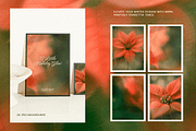 Christmas Poinsettia - Soft Floral, a Background Graphic by DigARTbyHavroshka (Thumbnail 8 of 9)