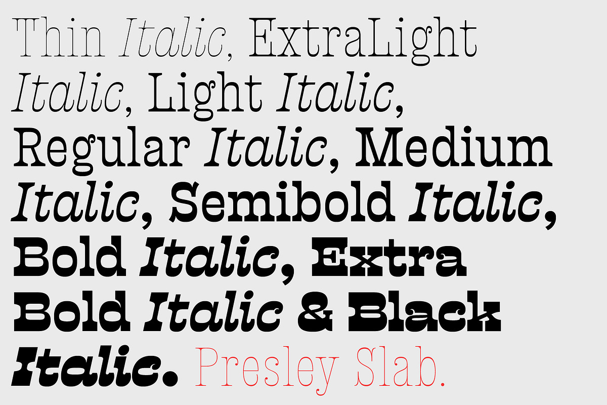 Presley Slab, a Font by Sudtipos (Photo 2 of 6)