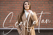 Amsterdam Silhouete Modern Script, a Script Font by stylishtype.co (Thumbnail 10 of 20)