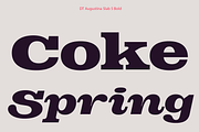 DT Augustina Slab 5 Subfamily, a Slab Serif Font by Deveze Type Foundry (Thumbnail 13 of 31)
