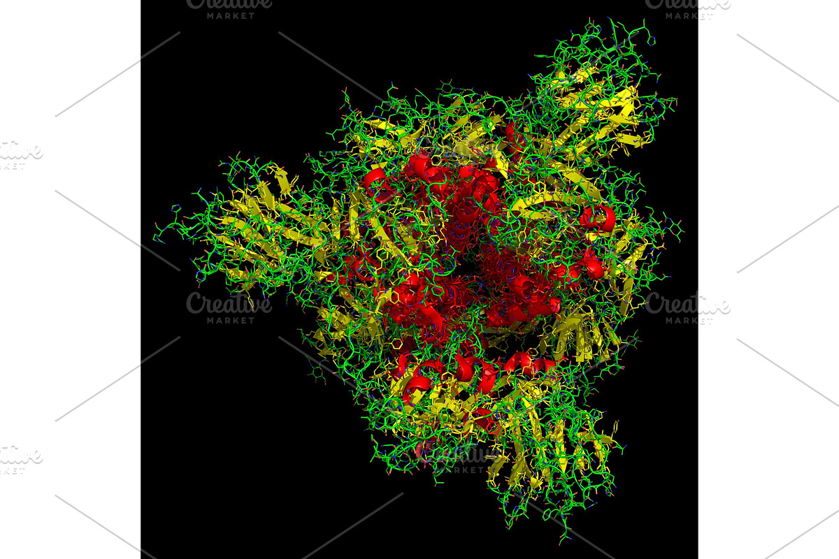 3D structure of the 2019-nCoV, a Healthcare Illustration by Leonid Andronov