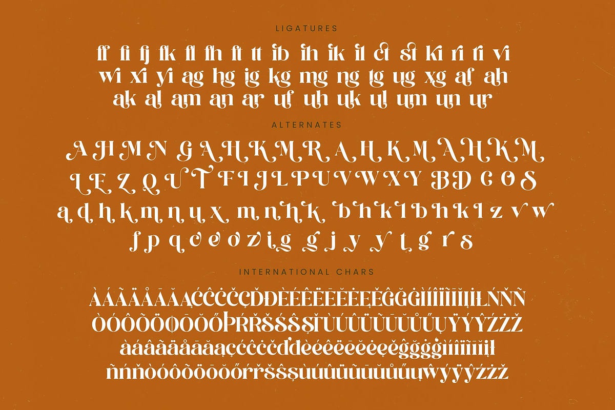 Runlight Harmony Groovy Serif, a Serif Font by timelesstype.co (Photo 19 of 20)